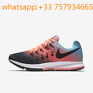 nike zoom pegasus 33 femme